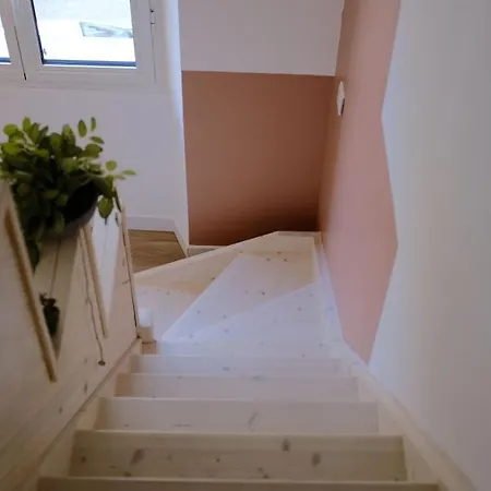 Apartamento Palma Rosa Cannes